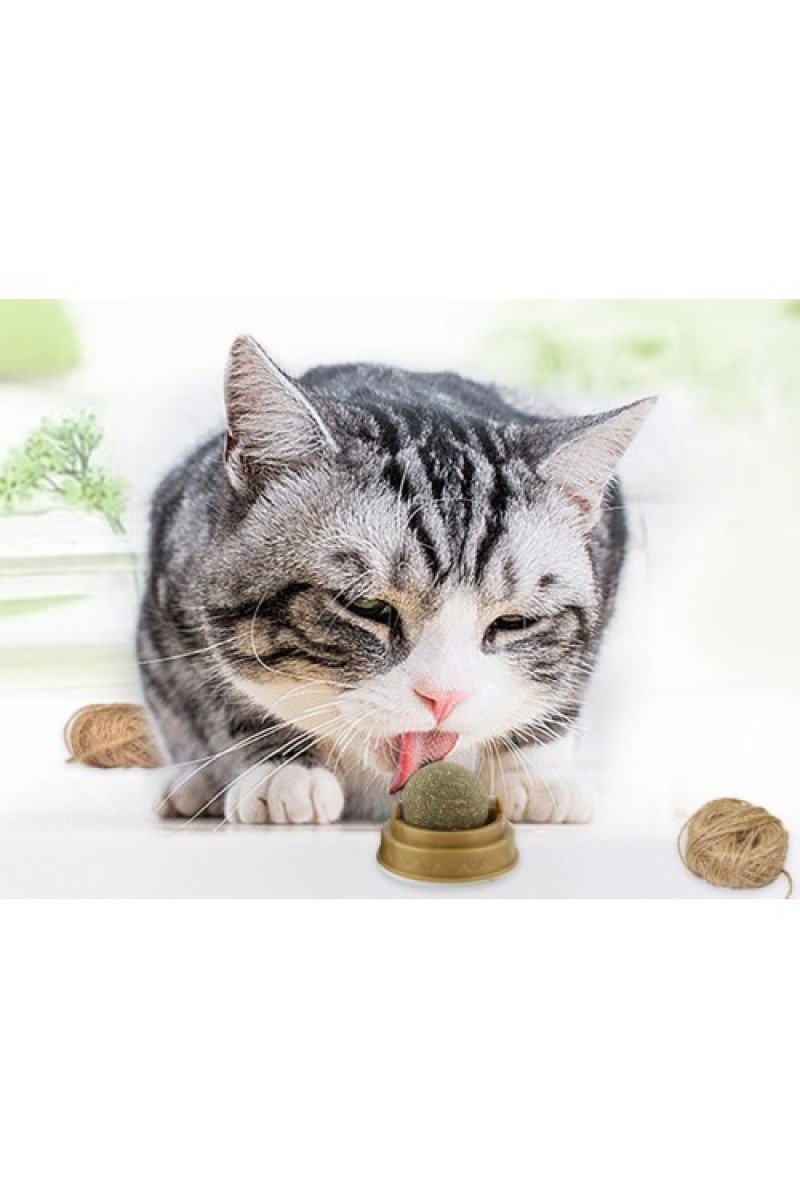 Kedi Otu Oyun Topu Cat Mint 5x4 cm