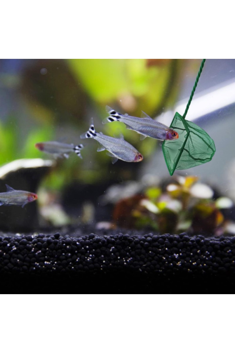 2 - Adet Akvaryum Balık Kepçesi 12 Cm.