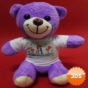 Mutlu Aşıklar Temalı Tişörtlü Peluş Ayıcık 25 cm