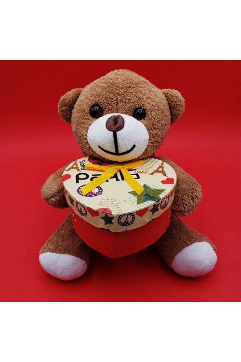 Kutulu Kahverengi Ayıcık 25 cm