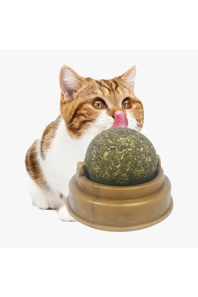 Kedi Nanesi Oyun Topu