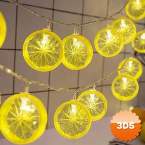 2m 10 Led Pilli Limon Işık