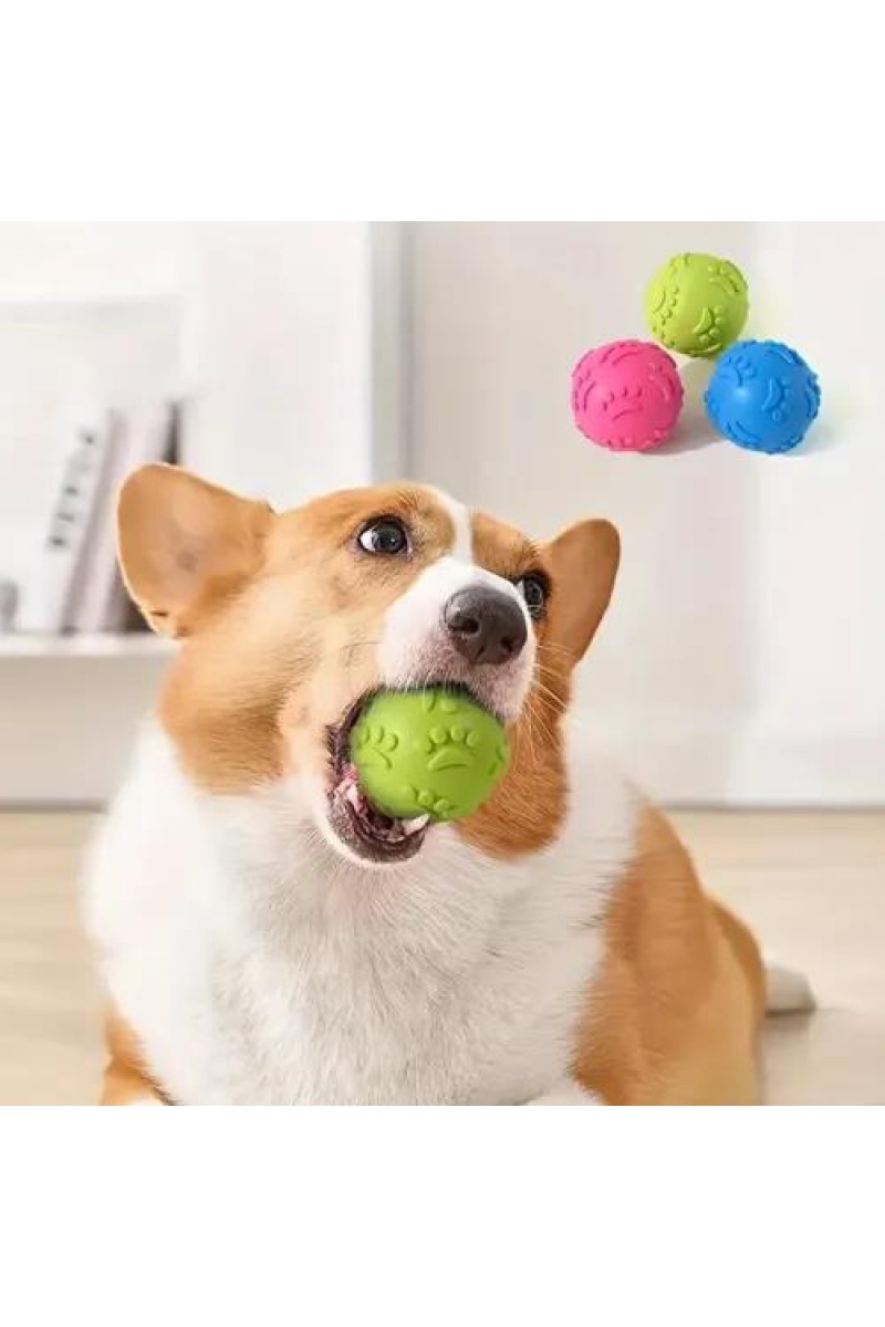 Pati Desenli Dayanıklı Köpek Isırma Topu