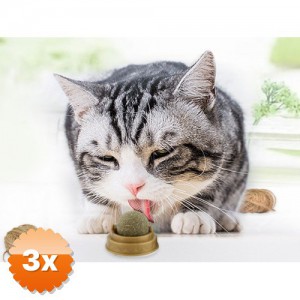 3 Adet Kedi Nanesi Catnip Oyun Topu