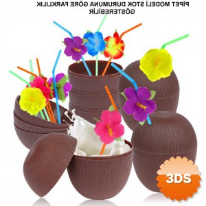 Hindistan Cevizi Hawaii Luau Aloha Pipetli İçecek Kabı 10x13 cm