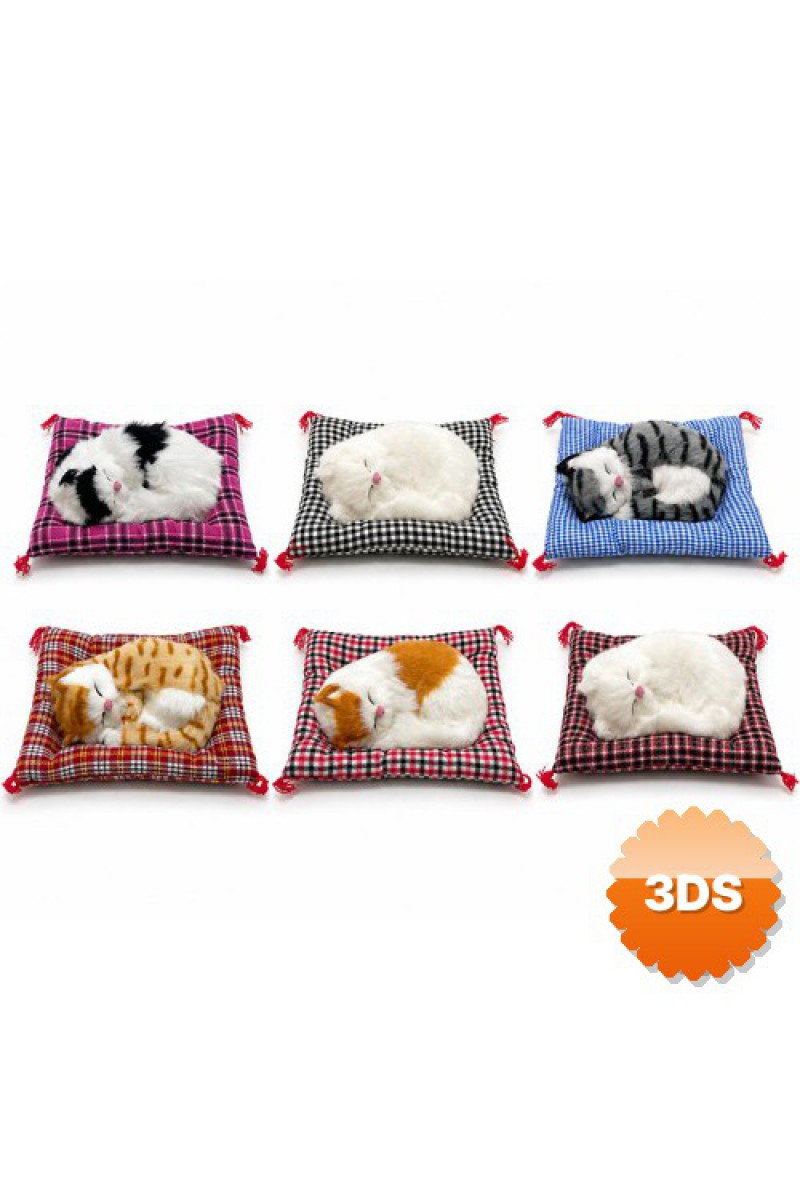 Yastıkta Uyuyan Kedi Sesli