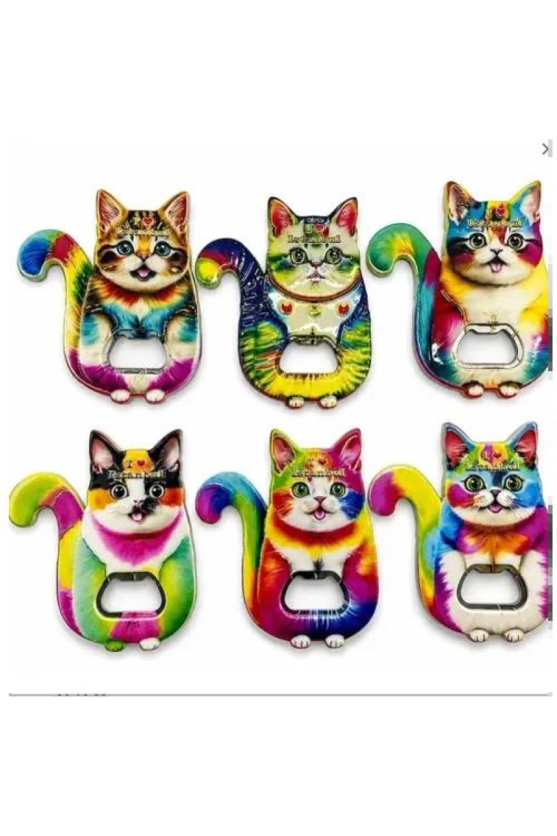 Kedi Tasarımı İstanbul Temalı Buzdolabı Süsü Magnet 11x10 cm
