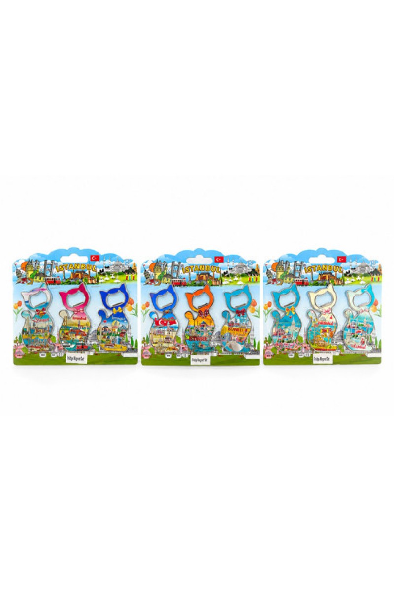 İstanbul Temalı Metal Buzdolabı Süsü Magnet 3'lü Set