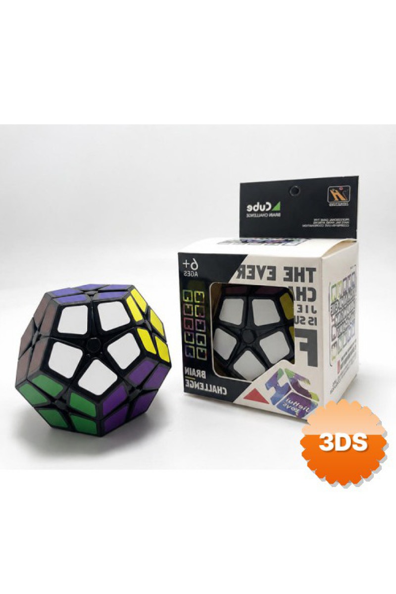 Kilominx Zeka Küpü 2x2 Onikiyüzlü Megaminx Akıl Oyunu 570