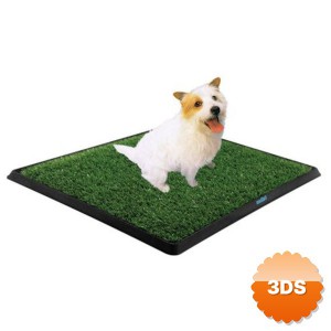 Köpek Tuvalet Eğitim Seti