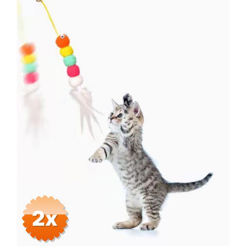 2 Adet Elastik Yapışkanlı Kedi Oyun Oltası