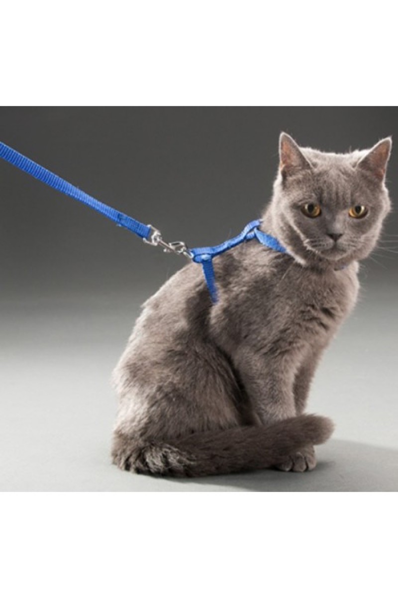 Ayarlanabilir Kedi Boyun ve Göğüs Tasması