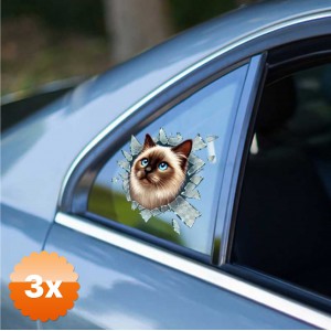 3 Adet Fulcar Siamesse Araç Stickerı 10x10 cm