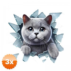 3 Adet Fulcar British Araç Stickerı 10x10 cm