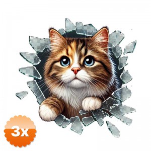 3 Adet Fulcar Stray Araç Stickerı 10x10 cm