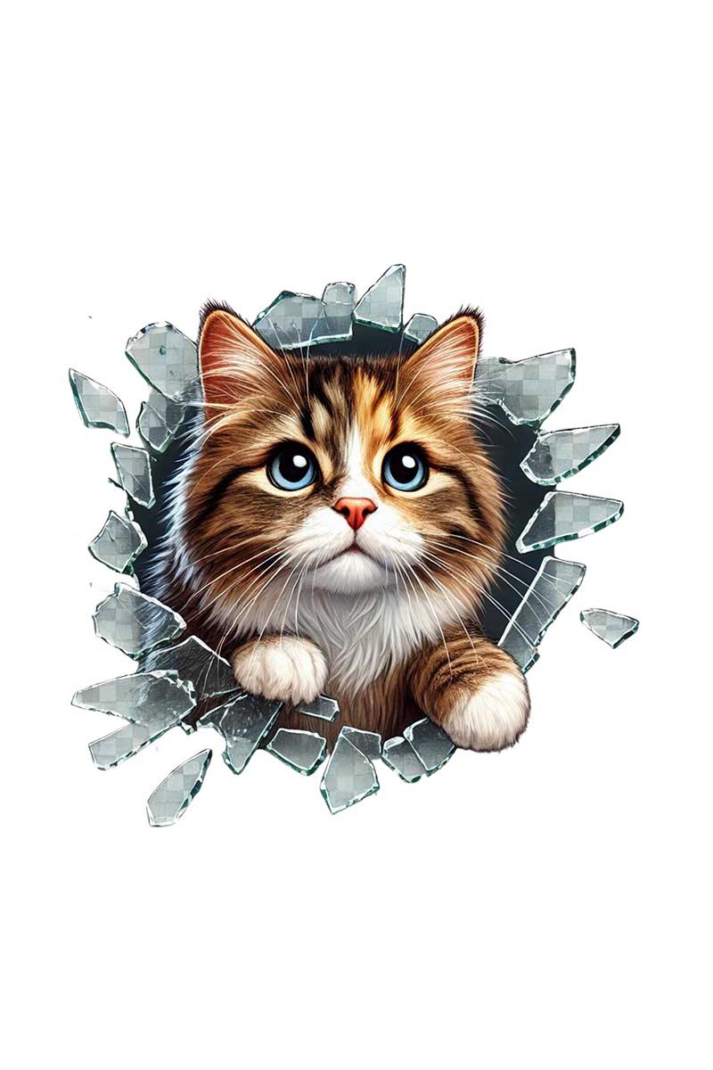 Fulcar Stray Araç Stickerı 10x10 cm