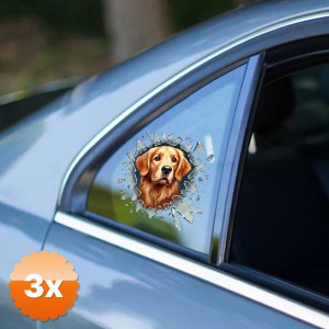 3 Adet Fulcar Golden Araç Stickerı