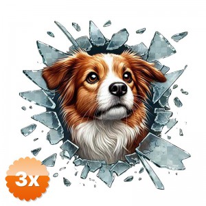 3 Adet Fulcar Australian Shepherd Araç Stickerı