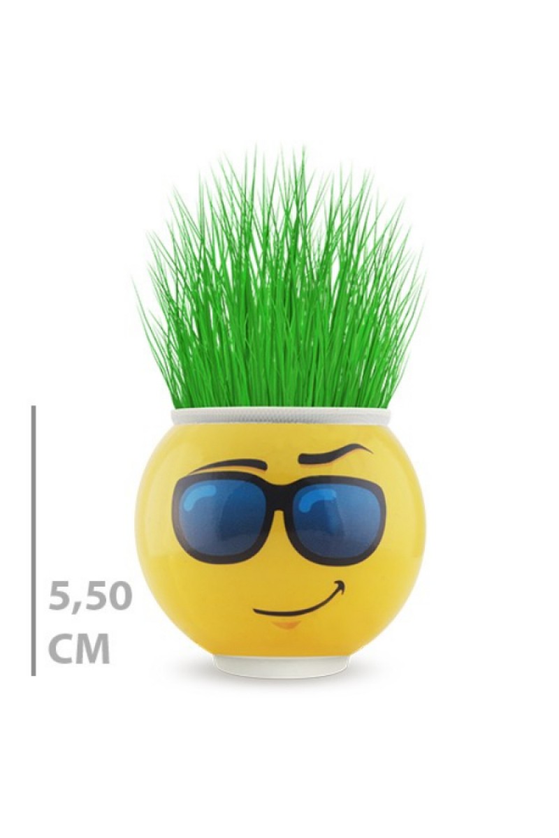 2 Adet - Emoji Figürlü Çim Adam Saksı