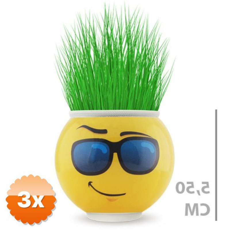 3 Adet Çim Adam Saksı Emoji Figürlü 5.5 cm