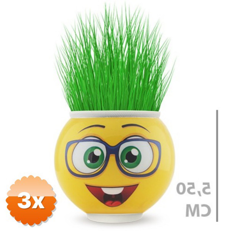 3 Adet Çim Adam Saksı Emoji Figürlü 5.5 cm