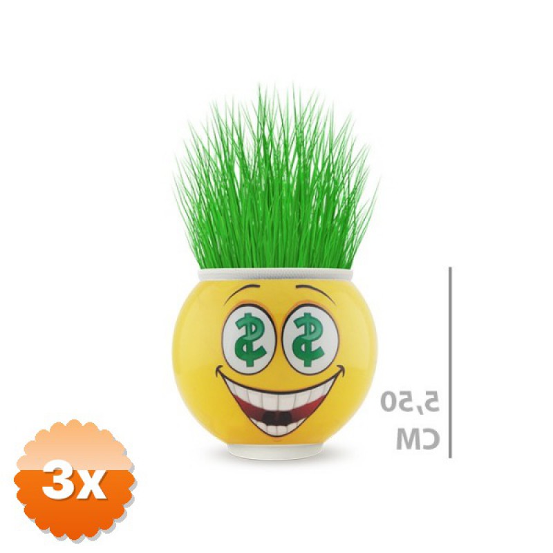 3 Adet Çim Adam Saksı Emoji Figürlü 5.5 cm