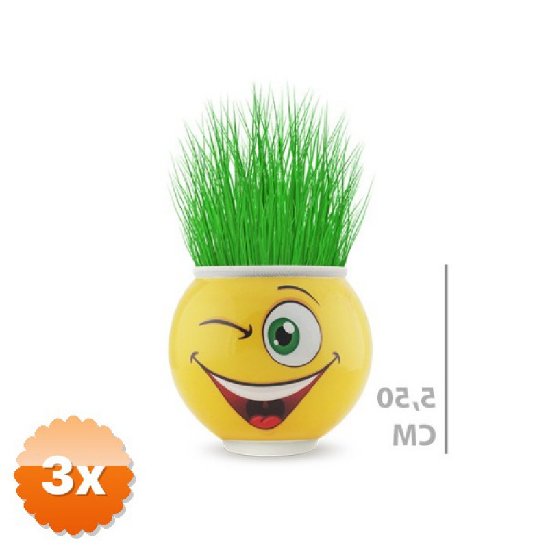 3 Adet Çim Adam Saksı Emoji Figürlü 5.5 cm