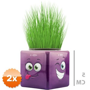2 Adet Sevimli Çim Adam Mini Küp Emoji Figürlü