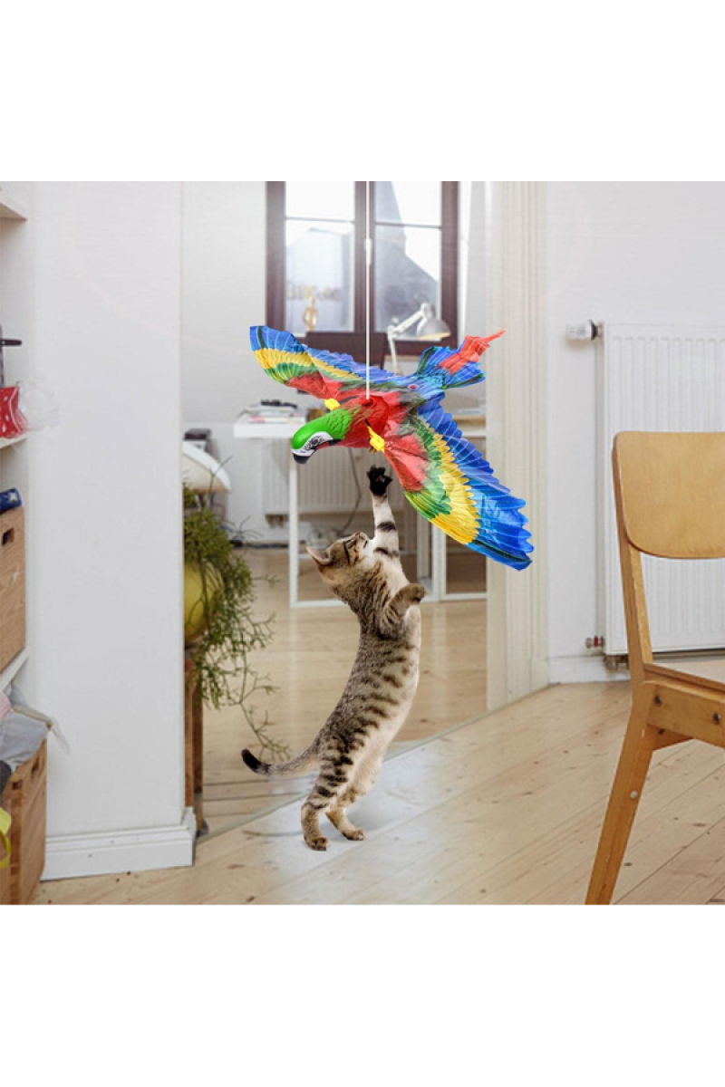 Uçan Papağan Kedi Oyuncağı