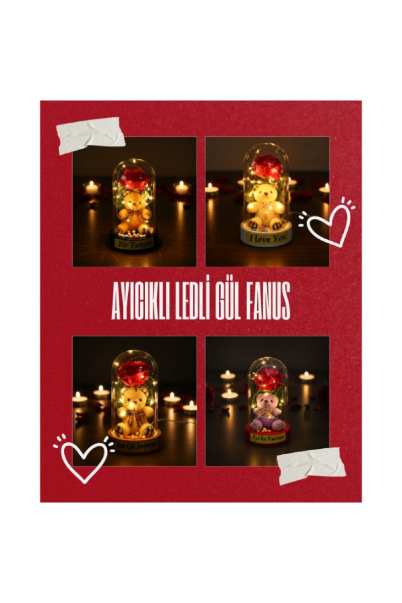 Ayıcıklı LEDli Gül Fanus 10x18 cm Gün Işığı LED
