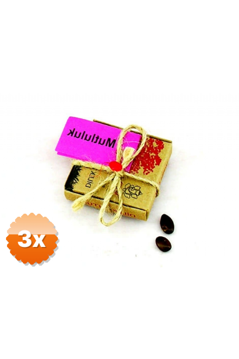 3 Adet Dilek Tohumları - Mutluluk