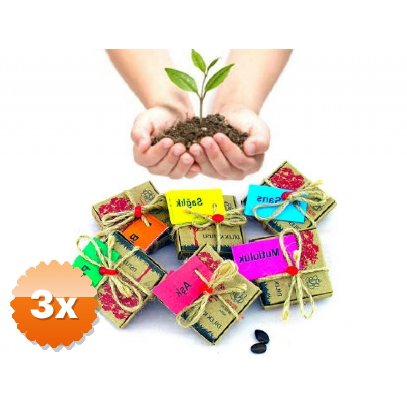 3 Adet Dilek Tohumları - Para