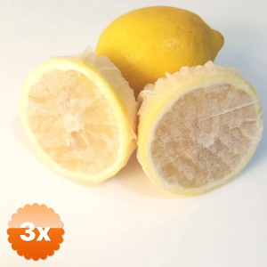 3 Paket Limon Bonesi / 10 Adet / Bitki Çayı Bonesi