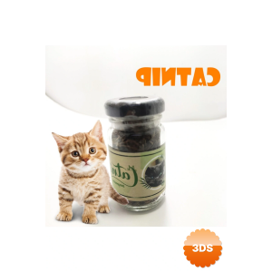 Catnip Doğal Kedi Otu - Kedi Nanesi